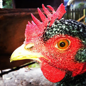 Meet your Posher, Beth